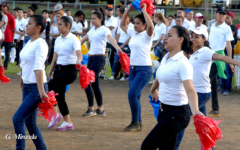 bandas